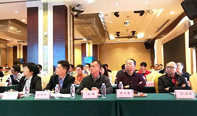 zoty中欧·(中国有限公司)官方网站